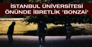 İstanbul Üniversitesi önünde ibretlik ’bonzai’ manzarası