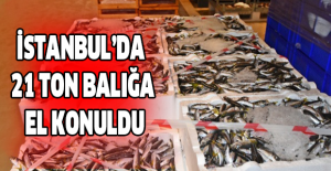 İstanbul’da 21 ton balığa el konuldu