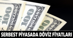 Serbest piyasada döviz fiyatları