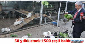 50 yıllık emek 1500 çeşit balık