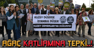 Ağaç katliamına tepki..!