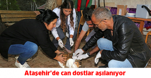 Ataşehir’de can dostlar aşılanıyor