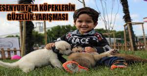 ESENYURT ’TA KÖPEKLERİN GÜZELLİK YARIŞMASI