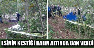 Eşinin kestiği dalın altında can verdi