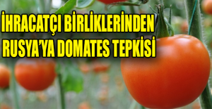 İhracatçı Birliklerinden Rusya’ya Domates tepkisi