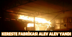 Kereste fabrikası alev alev yandı