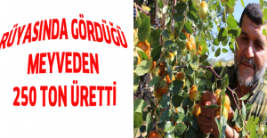 Rüyasında gördüğü meyveden 250 ton üretti