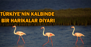 Türkiye’nin kalbinde bir harikalar diyarı