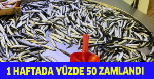 1 haftada yüzde 50 zamlandı