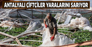 Antalyalı çiftçiler yaralarını sarıyor