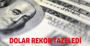 Dolar rekor tazeledi