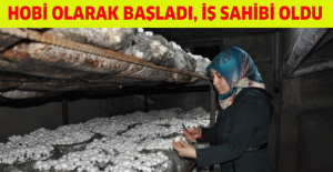 Hobi olarak başladı, iş sahibi oldu