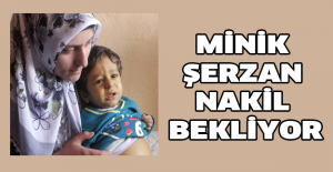 Minik Şerzan nakil bekliyor