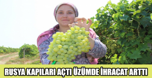 Rusya kapıları açtı üzümde ihracat arttı