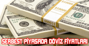 Serbest piyasada döviz fiyatları