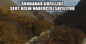 ’Sonbahar güzelliği’ sert kışın habercisi sayılıyor