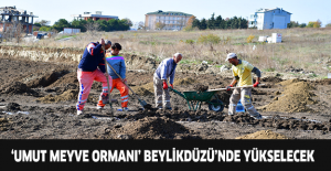 ‘Umut Meyve Ormanı’ Beylikdüzü’nde yükselecek