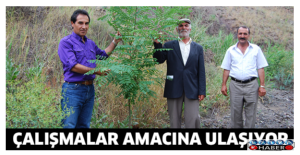 ÇALIŞMALAR AMACINA ULAŞIYOR