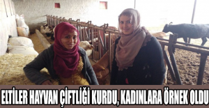 Eltiler hayvan çiftliği kurdu, kadınlara örnek oldu