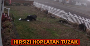 Hırsızı hoplatan tuzak