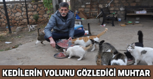 Kedilerin yolunu gözlediği muhtar