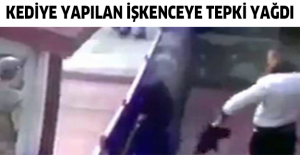 Kediye yapılan işkenceye tepki yağdı