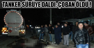 Tanker sürüye daldı: Çoban öldü !