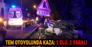 TEM otoyolunda kaza: 1 ölü, 2 yaralı