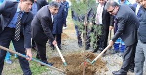 ESENYURTLU ŞEHİTLERİN ANISINA FİDAN DİKİLDİ