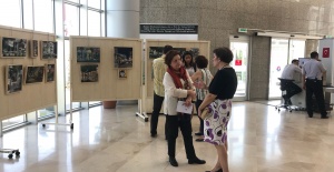 Sokak Hayvanları İçin Sanat Sergisi
