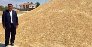 Buğdayda tehlike çanları çalmaya başladı!