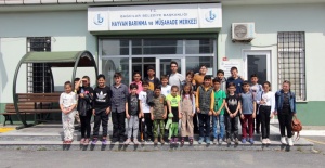 Yeni Yuvalarına Kavuştular
