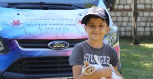 Sokak Hayvanlarına Özel Ambulans