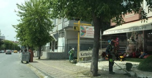 Büyükçekmece’nin yeşili koruma altında