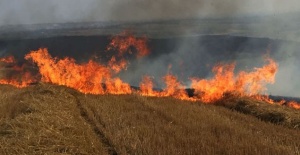 Silivri'de Ot Yangını Paniğe Sebep Oldu