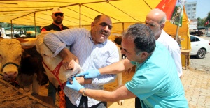 Kartal Belediyesi, Kurban Bayramı Hazırlıklarını Tamamladı