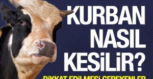 Kurban nasıl kesilir? Kurban kesilirken nasıl niyet edilir