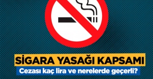 2019 sigara içmenin cezası kaç lira? Nerelerde geçerli? Arabada sigara içme cezası.