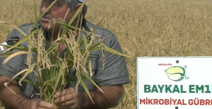 Normal Gübre ve Akıllı Gübre Arasındaki Fark Ortaya Çıktı