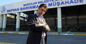 Görme engelli yavru kediyi hayata bağladılar