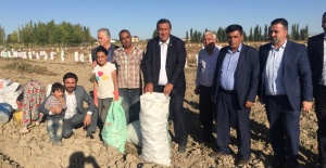 “PATATES ÜRETİCİSİ YİNE MAĞDUR”