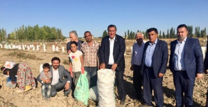 “PATATES ÜRETİCİSİ YİNE MAĞDUR”