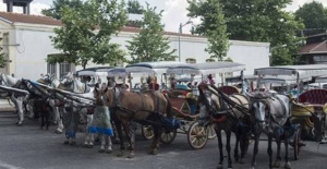 Ada'da ki Fayton Sahipleri Suç Duyurusundu Bulundu