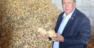 Patates için dışsatımda yapılan yeni düzenleme, üreticiye bir darbe daha indirdi!