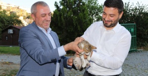 SOKAK HAYVANLARI İÇİN BELEDİYE VE VATANDAŞ EL ELE VERDİ