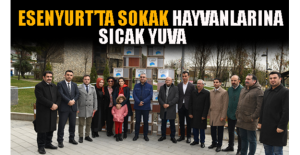 Esenyurt’ta Sokak Hayvanlarına Sıcak Yuva