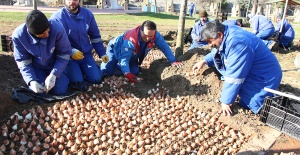 Kağıthane Nisan’da Rengarenk Olacak