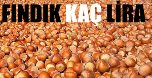 Fındık Kaç Lira? 11 Mart Çarşamba Fındık Fiyatları