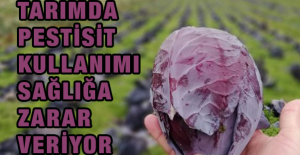 Tarımda Pestisit Kullanımı Sağlığa Zarar Veriyor