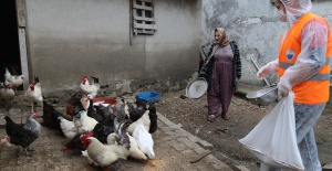 Tavukların yemi bitince belediye başkanını aradı